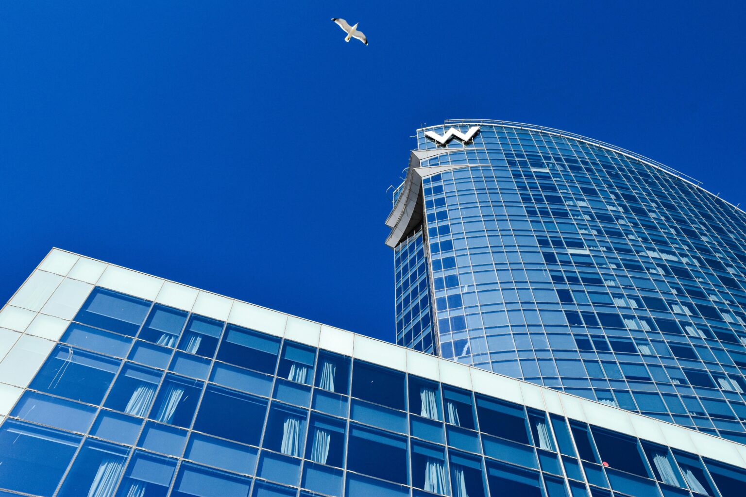 pexels-axp-photography-500641970-19866598